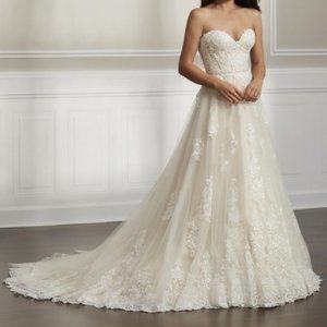 Christina Wu 15694 Size 8 Ivory/Cafe/Nude/Silver NWT